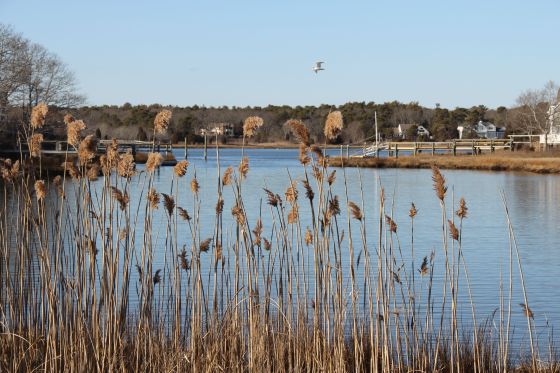 Superbowl Weekend - 07