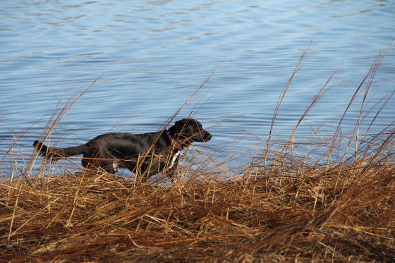 Superbowl Weekend - 24