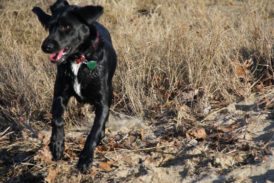 Superbowl Weekend - 2504