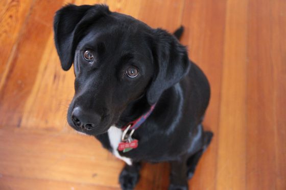 Brody - Winter 2012 - 2744