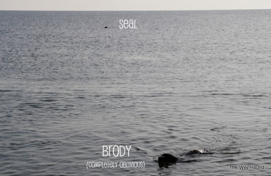 cape august 2012 398-001