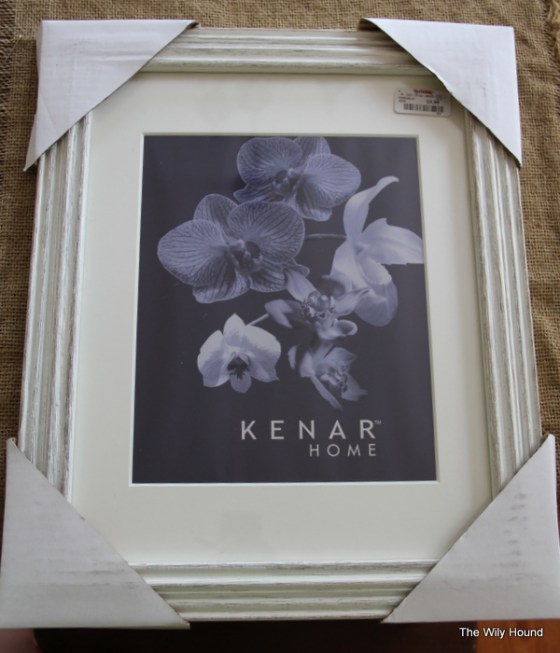 Brews and Bluegrass 003