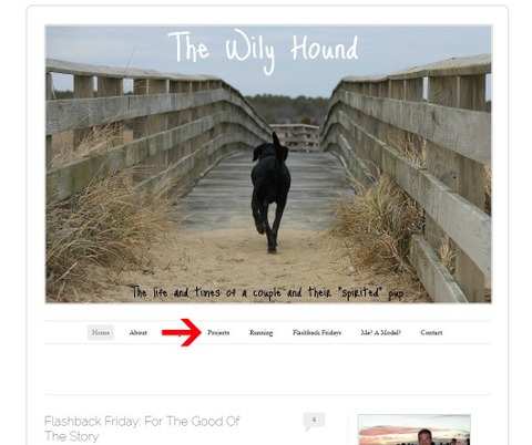 screen capture - projects