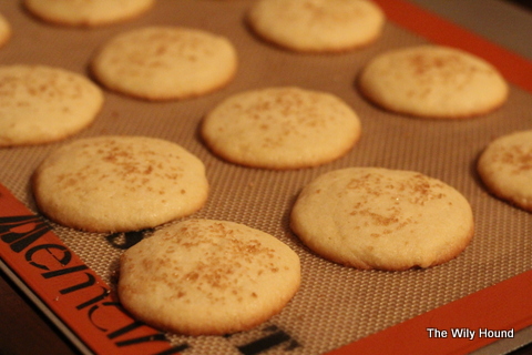 Sugar Cookies 034