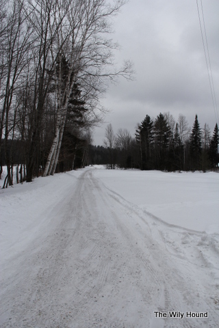 Vermont Winter 2013 007