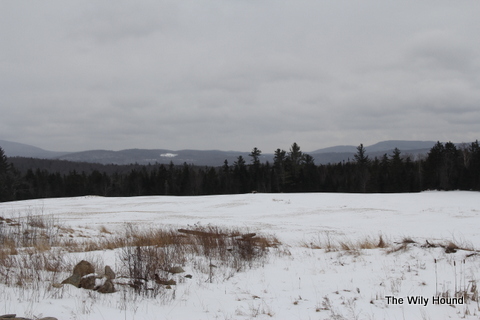 Vermont Winter 2013 038
