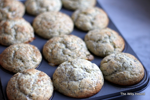 Lemon poppy seed muffins 005