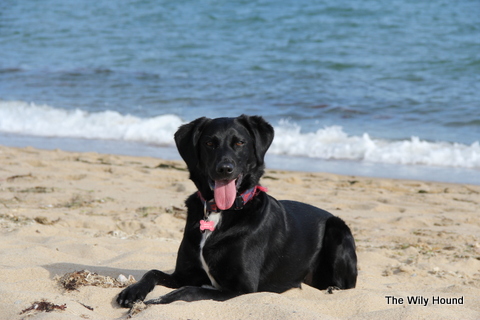 announcement pics 013