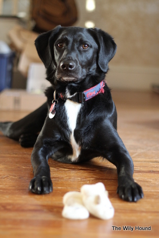 announcement pics 027