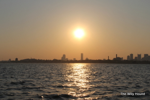 Harbor boat ride 003