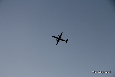 Harbor boat ride 032