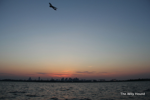Harbor boat ride 037