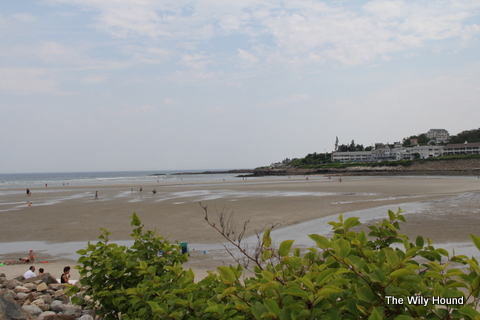 Strawberry shortcake 023