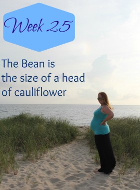 week 25